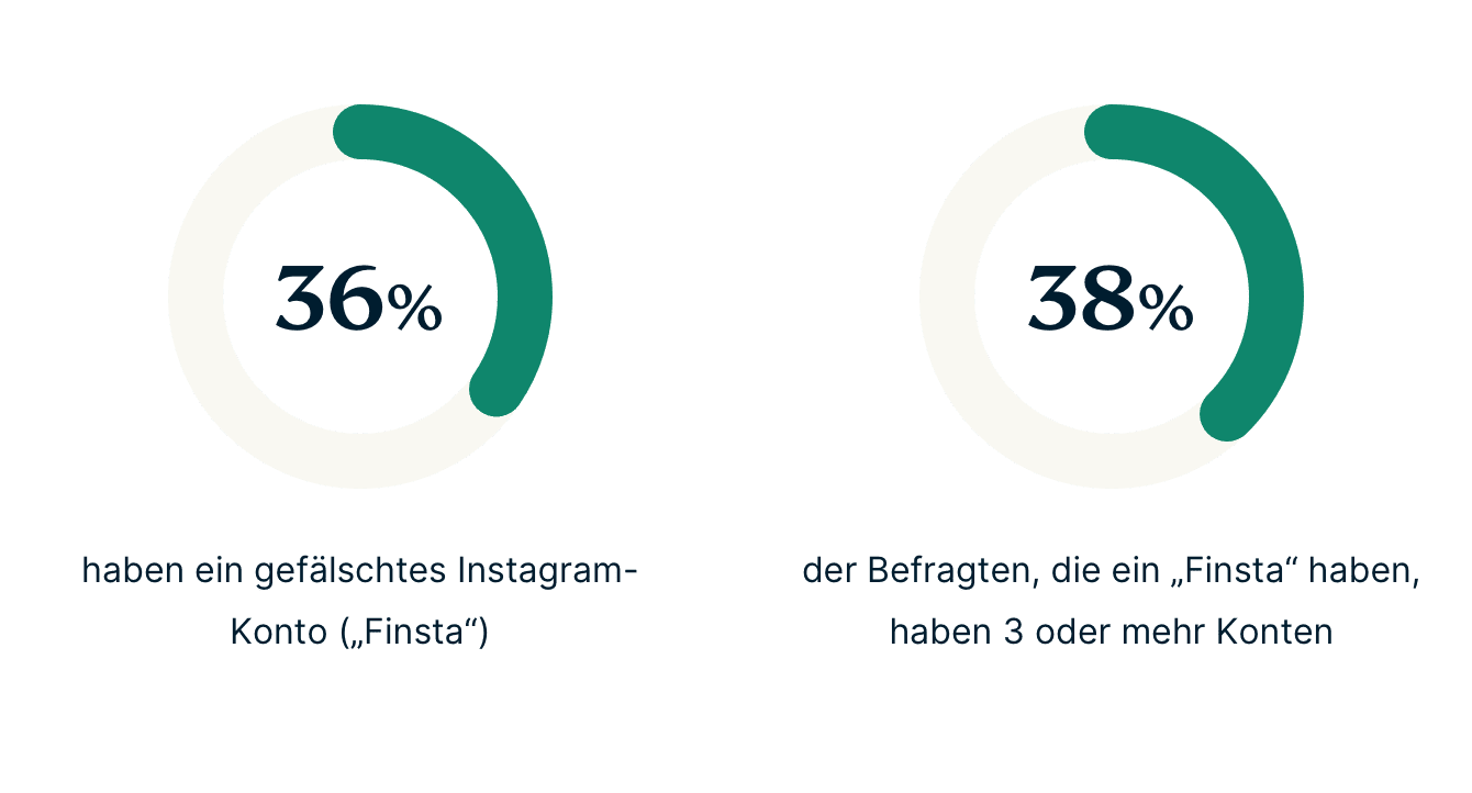 Gen Z Finsta Stats DE
