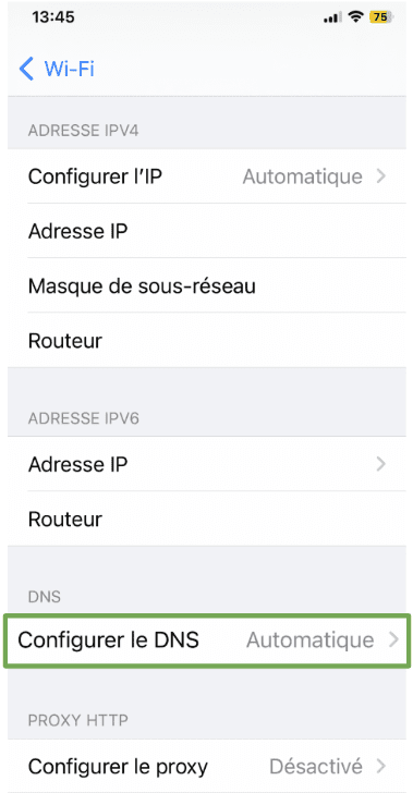 The network information page of an iOS device, showing the Configure DNS menu option.