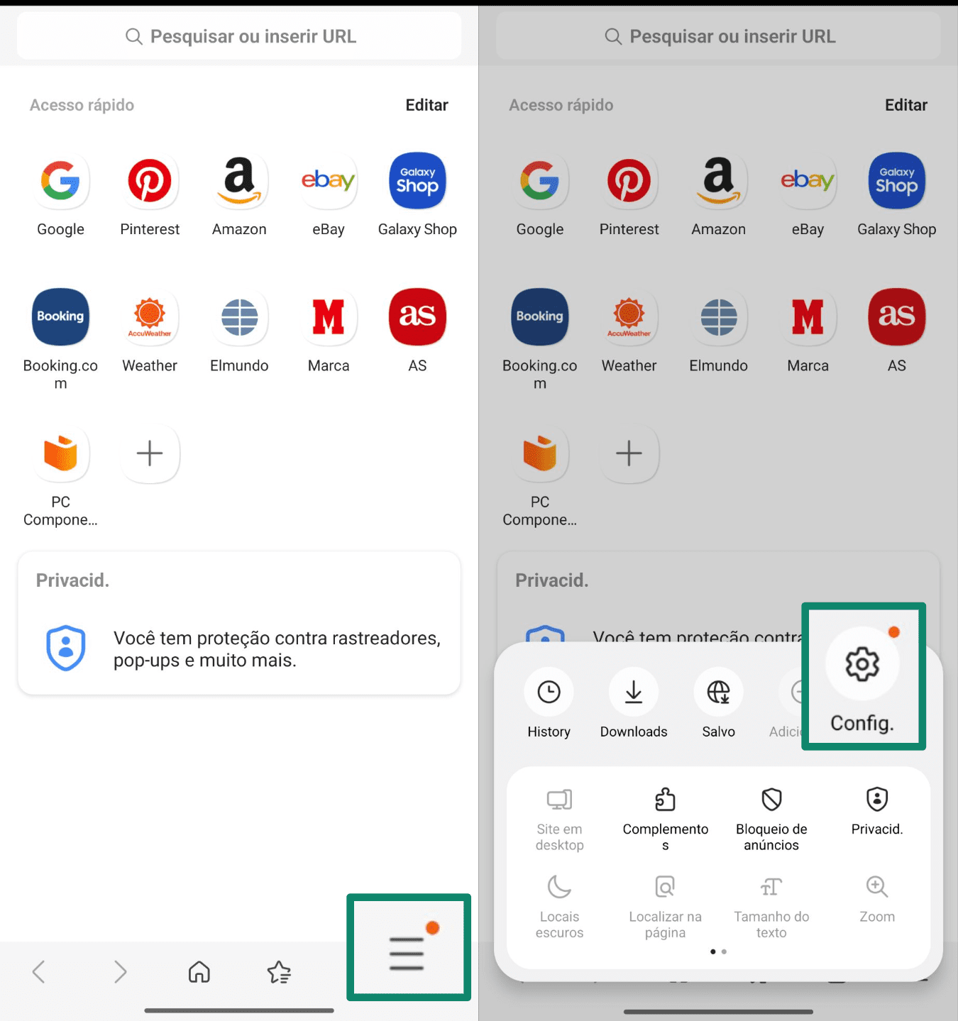 Open The Samsung Internet App Pt