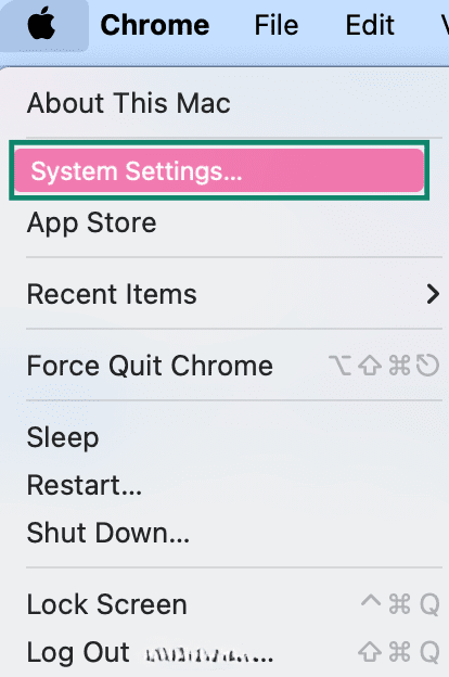 Apple menu with the System Settings option highlighted