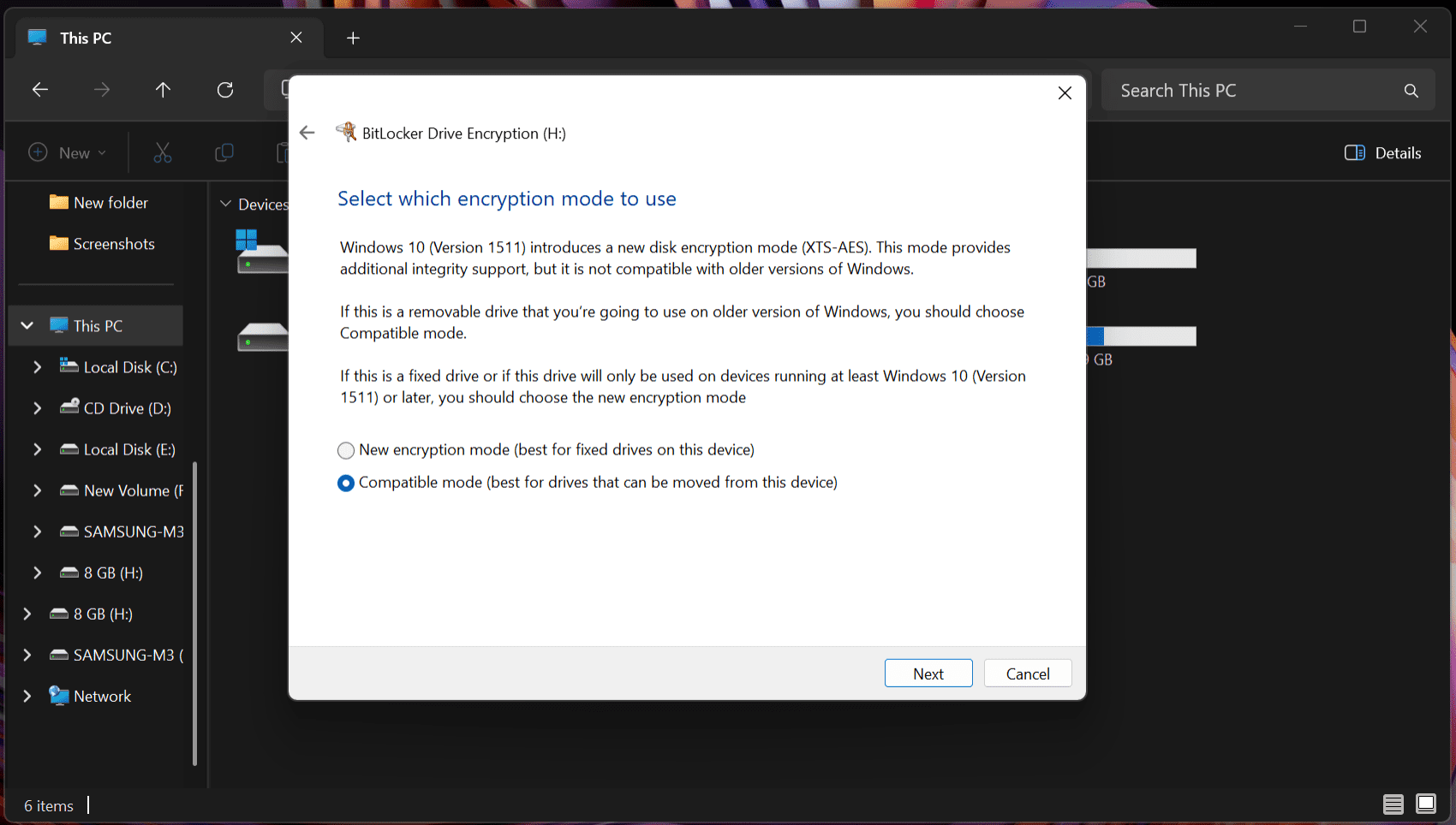 BitLocker screen for choosing the encryption mode.