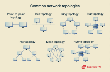 A visual representation of the rough shape of several common network topologies.