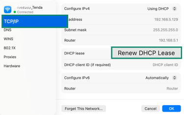 Renew DHCP Lease