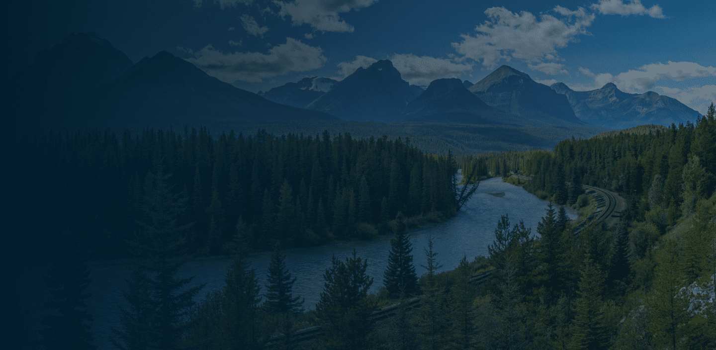 Seo Ca Server Hero Bg Desktop