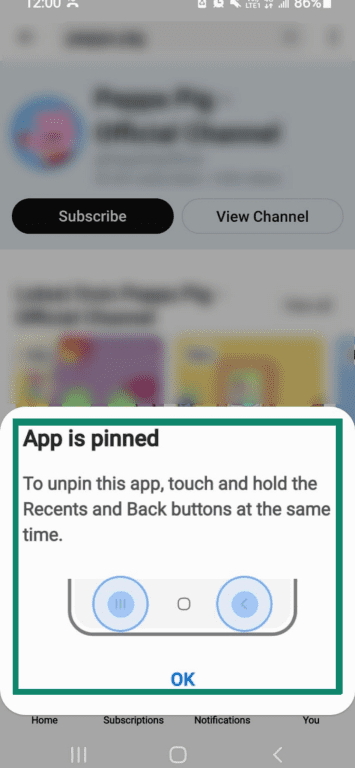 The confirmation that an app has been pinned, accompanied by instructions for unpinning.