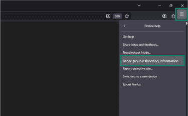 More troubleshooting information option lets you perform manual troubleshooting.
