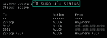 Checking ufw status on terminal in Linux.