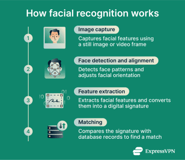 Infographic showing the step by step process of how facial recognition captures analyzes and matches facial features