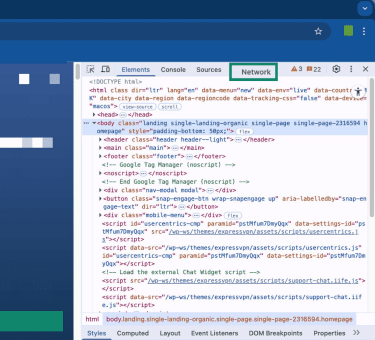 The Developer Tool in Chrome, highlighting the "Network" tab.