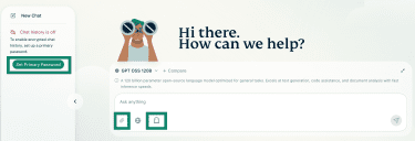 Setting the primary password and enabling the ghost mode in ExpressAI.